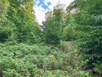 LOT 8 High Pines Trail Boyne City, MI 49712