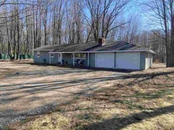 6535 Honeysette Rd Alanson, MI 49706