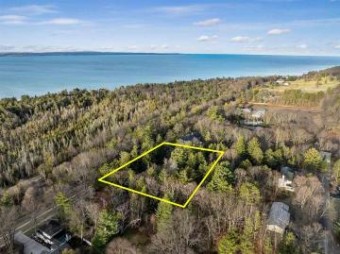 580 W Bluff Drive Harbor Springs, MI 49740