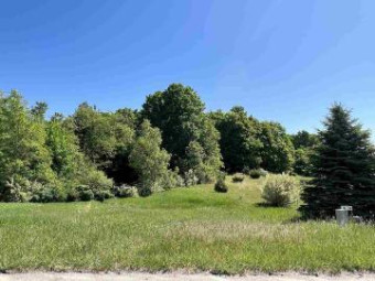 LOT 4 Alden Meadows Drive 4 Alden, MI 49612