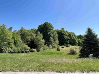 LOT 4 Alden Meadows Drive 4 Alden, MI 49612