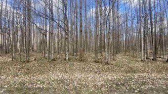 LOT 111 Forestgrove Drive Elmira, MI 49730