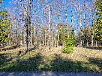 LOT 32 Stonebridge Drive Charlevoix, MI 49720