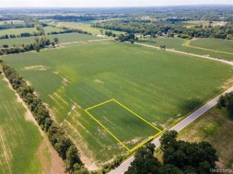 LOT 2 VACANT LAND School Section Road Richmond, MI 48062