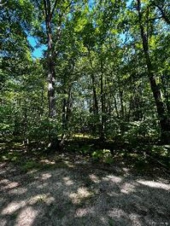 0 Dogwood Lot-#383 & #384 Farwell, MI 48622