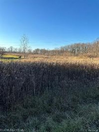 55451 Zuhlke Road Chesterfield Township, MI 48051