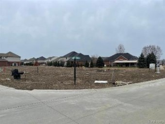 19246 Hamlin Lake Dr.  Lot # 159 Macomb, MI 48044