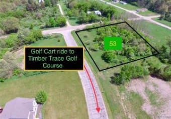 LOT 53 Gecko Trail Road Pinckney, MI 48169