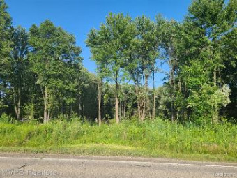 51760 S Foster Road Chesterfield Township, MI 48047