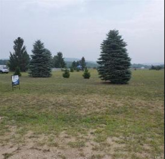 LOT 9 Valley View Drive Boyne Falls, MI 49713