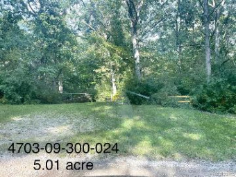 VACANT (LOT B) N Latson Road Deerfield, MI 48855