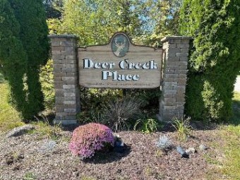 0 Deer Creek Drive Chesaning, MI 48616