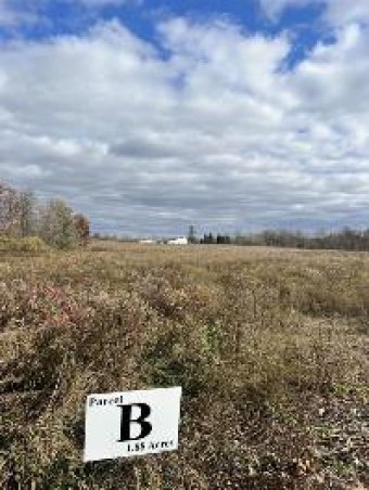 LOT B - VL Millville Rd. Lapeer, MI 48446