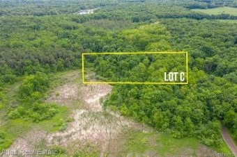 PARCEL C Bald Eagle Lk Rd Ortonville, MI 48462