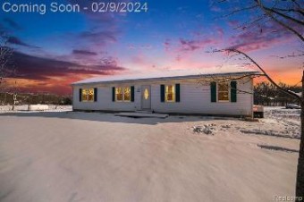 3685 Dexter Trail Stockbridge, MI 49285