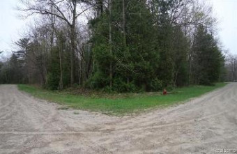 00 Willowbend Road Oscoda, MI 48750