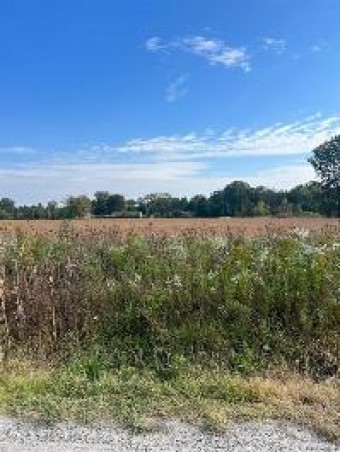 PARCEL #3 E Schoenherr Road E Washington, MI 48904