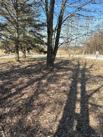 LOT A E Coon Lake Road Howell, MI 48843