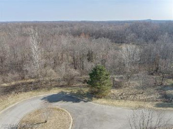 LOT A N Vanessa Drive Holly, MI 48442