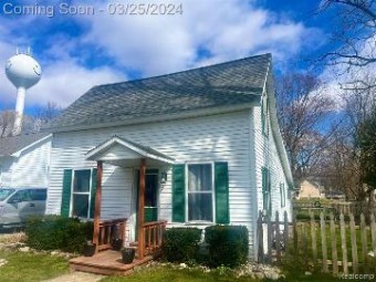 45 Jessie Street Elkton, MI 48731