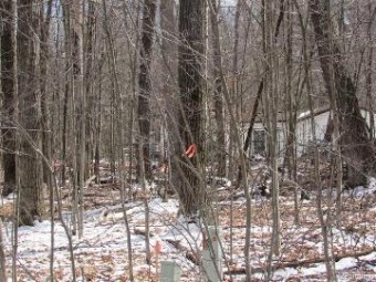 LOT 62 Maplewood Roscommon, MI 48653