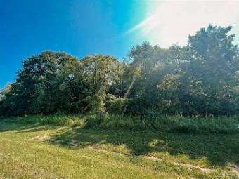 LOT 18 Lily Ann Dryden, MI 48428