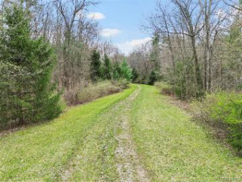 4.63 ACRES VL - Knights Bridge Road Leonard, MI 48367