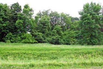 LOT 8 Stagecoach Trail Pigeon, MI 48755