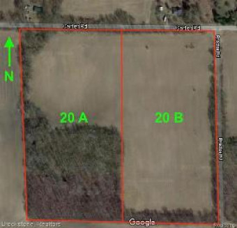 VL CARTER 40 Acres Dansville, MI 48819