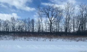 LOT 40 Wild Orchid Lane Burton, MI 48519