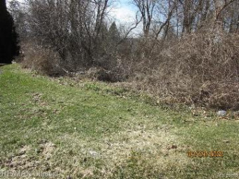 LOT 19 Milford Heights Milford, MI 48381