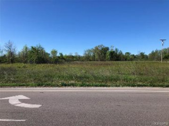 PARCEL G Imlay City Road Imlay City, MI 48444