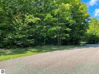 LOT 219 Juniper Hills Court Bellaire, MI 49615