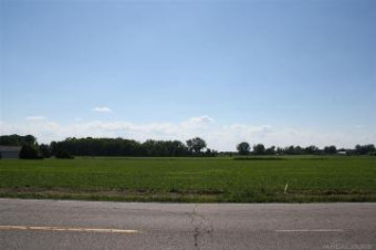 Haven Ridge Lot #3 New Haven, MI 48050