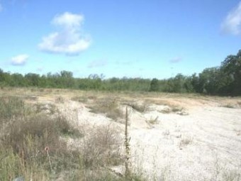 8 ACRES Clare Harrison, MI 48625