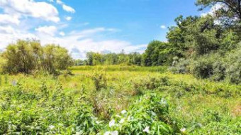 LOT 25 Northern Pintail Hemlock, MI 48626