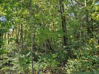 LOT 36 Lakeview Harrison, MI 48625