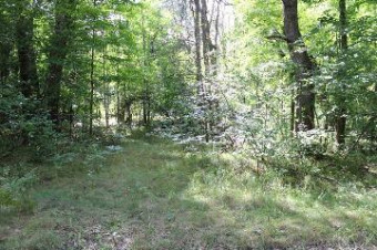 LOT 1020 Teaberry Farwell, MI 48622