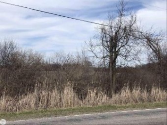 0 Short Cut   Parcel C Cottrellville, MI 48039