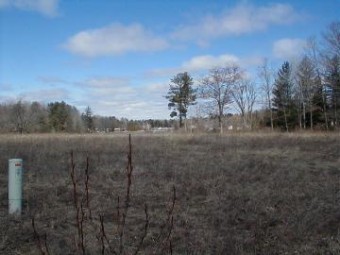 LOT 6 River Oaks Gladwin, MI 48624