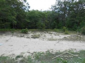 LOT 128 Crescent Beach N. Us 23 CB 128 CRESCENT BEACH LOT 128 East Tawas, MI 48730