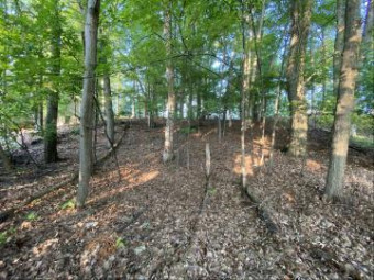 LOT 222 Lancelot Gladwin, MI 48624