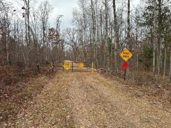 60 ACRES E Cranberry Lake Harrison, MI 48625