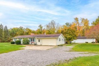 19585 W Brady Elsie, MI 48831