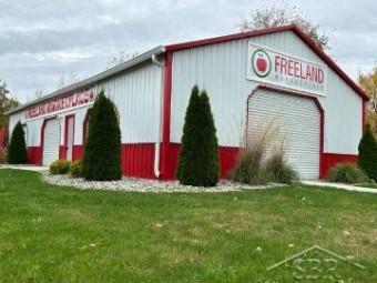 10952 W Freeland Freeland, MI 48623