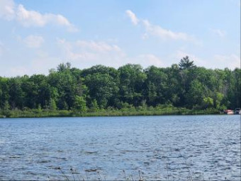 5+/- ACRES Browns Lake, MI 48632