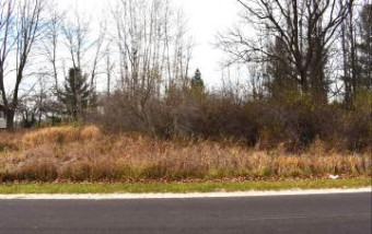 LOT 264 Linksview Gladwin, MI 48624