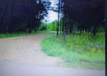 LOT 135 Cumberland Gladwin, MI 48624