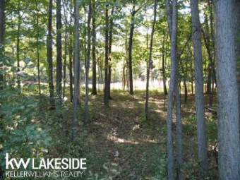 9749 Lost Channel - Unit 58 Sand Point, MI 48755