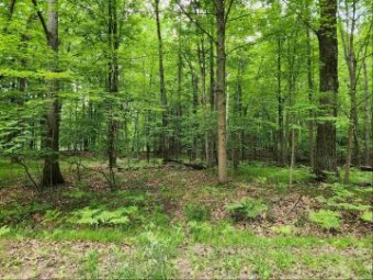 LOT 1043 Spruce Hill Farwell, MI 48622